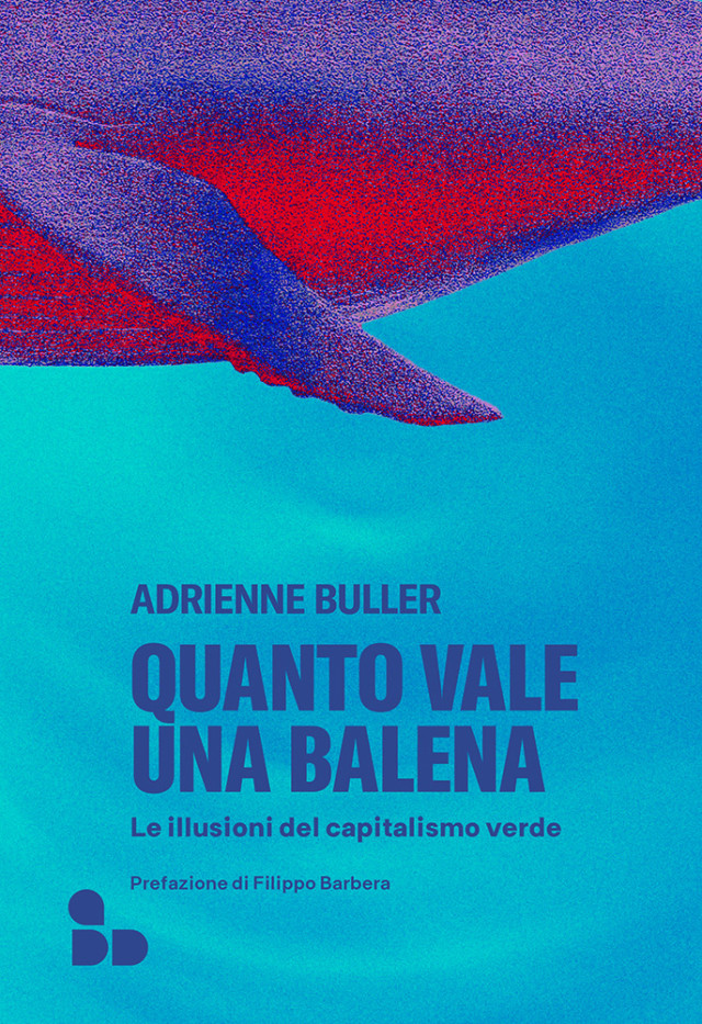 Buller Balena Web