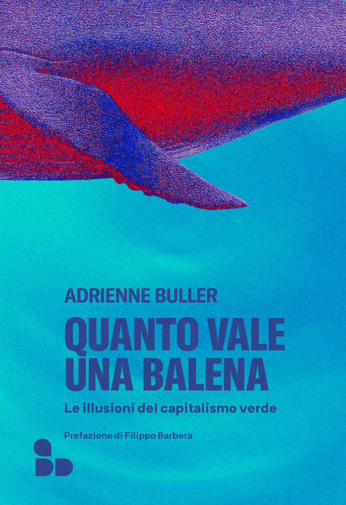 Buller Balena Web